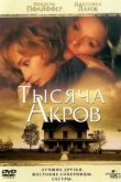  Тысяча акров 