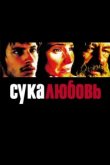  Сука-любовь 