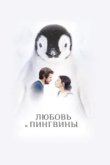  Любовь и пингвины 
