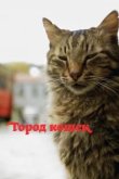  Город кошек 