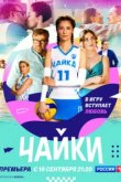  Чайки 