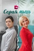  Серая мышь 