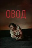  Овод 