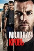  Молодая кровь 