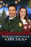  Рождественская звезда 