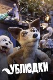  Дворняги 