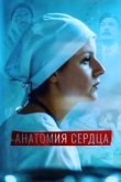  Анатомия сердца 
