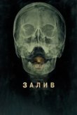  Залив 