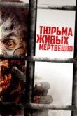  День 0 