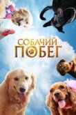  Собачий побег 