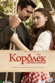  Королёк – птичка певчая 