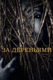  За деревьями 
