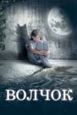  Волчок 
