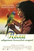 Поли 