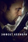  Эффект колибри 