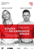  Кошка на раскалённой крыше 