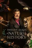  Фантастические твари: Естественная история 
