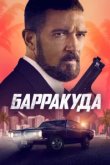  Барракуда 