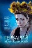  Гербарий Маши Колосовой 