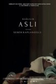  Обязательная Асли 