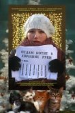  Отдам котят в хорошие руки 