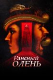  Раненый оленёнок 