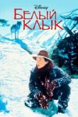  Белый клык 
