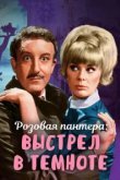  Выстрел в темноте 