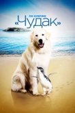  По кличке «Чудак» 