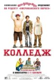  Колледж 