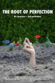 Корень совершенства 
