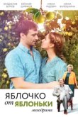  Яблочко от яблоньки 