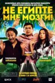  Не египте мне мозги! 