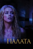  Палата 