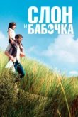  Слон и бабочка 