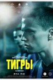  Тигры 