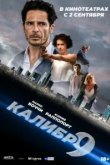  Девятый калибр 