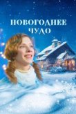  Новогоднее чудо 