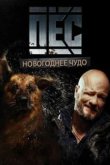  Новогодний пёс 