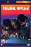  Внимание, черепаха! 