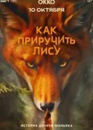 Как приручить лису