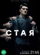  Стая 