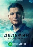  Дельфин 