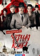  Чёрная кошка 