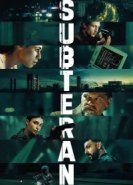  В тени 