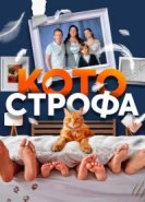  Котострофа 