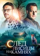  След лисицы на камнях 