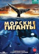  BBC: Морские гиганты 