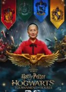  Гарри Поттер: Битва факультетов 