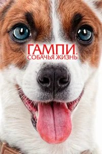  Гампи. Собачья жизнь 